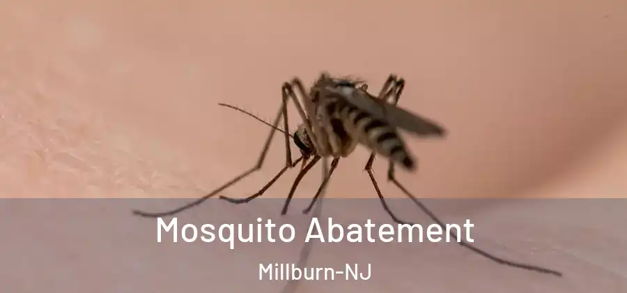  Mosquito Abatement Millburn-NJ