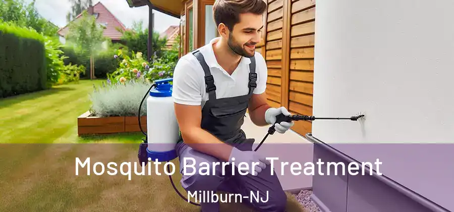 Mosquito Barrier Treatment Millburn-NJ