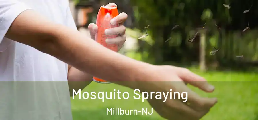 Mosquito Spraying Millburn-NJ