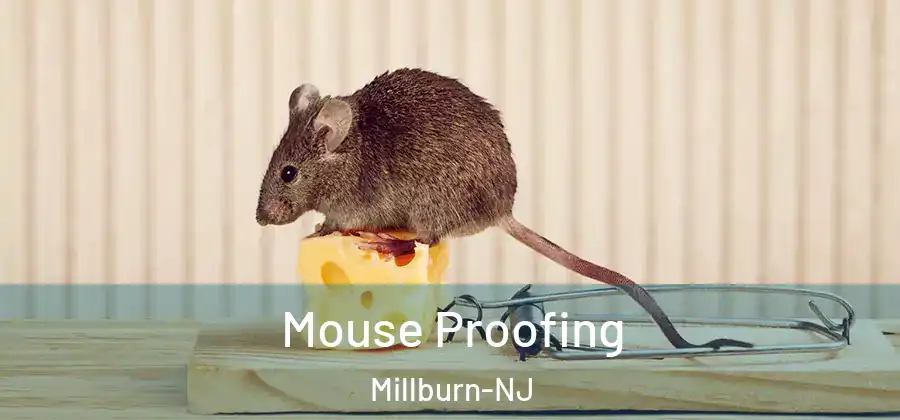 Mouse Proofing Millburn-NJ