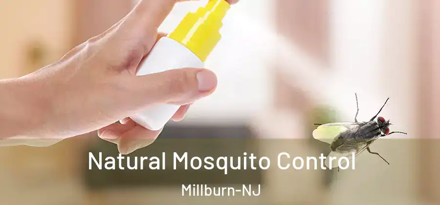 Natural Mosquito Control Millburn-NJ
