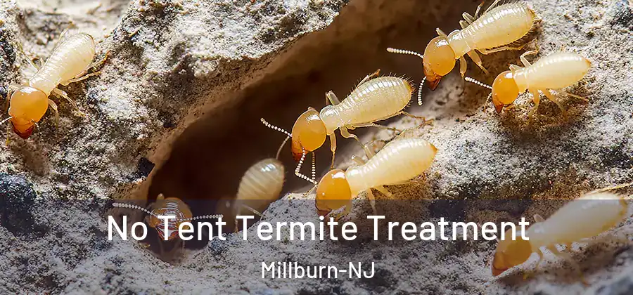 No Tent Termite Treatment Millburn-NJ