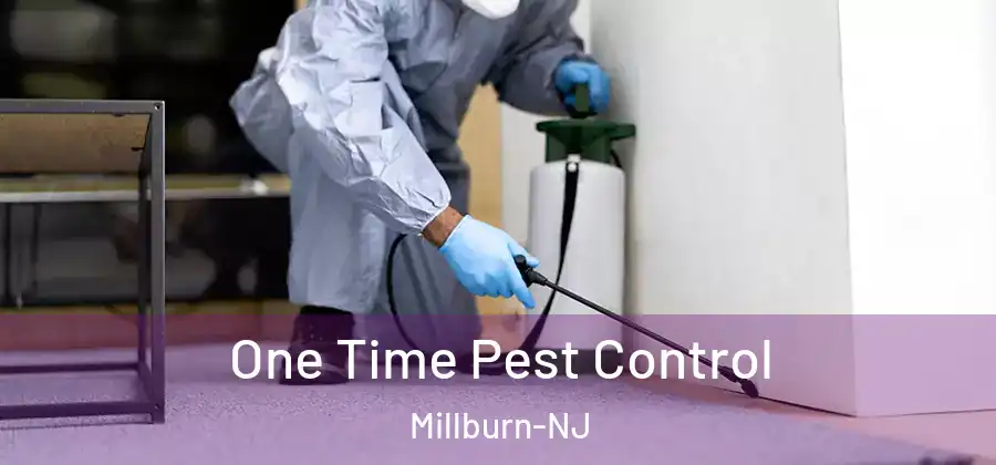 One Time Pest Control Millburn-NJ