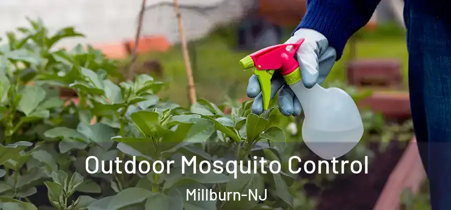  Outdoor Mosquito Control Millburn-NJ