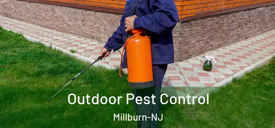 Outdoor Pest Control Millburn-NJ