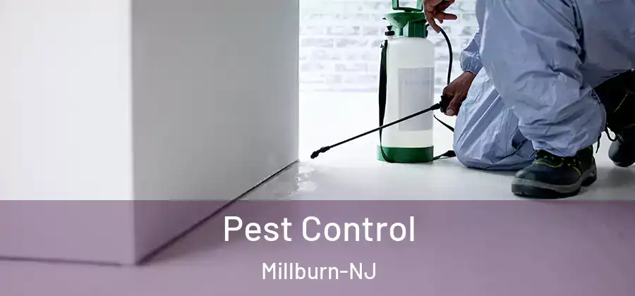 Pest Control Millburn-NJ