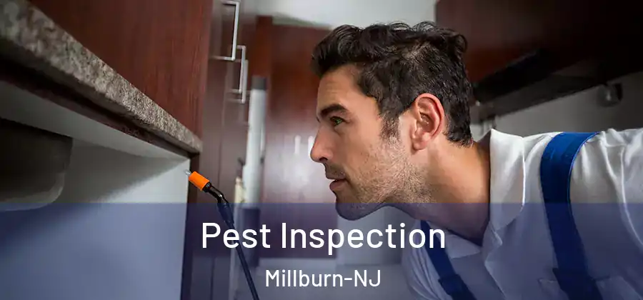 Pest Inspection Millburn-NJ