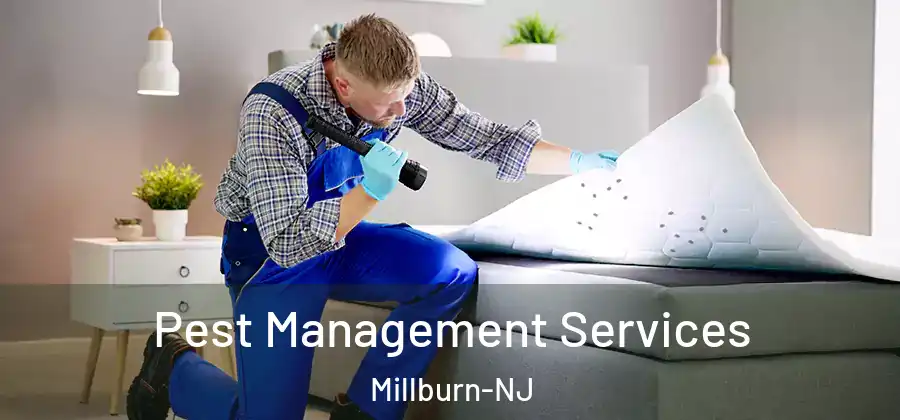 Pest Management Services Millburn-NJ
