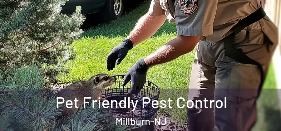 Pet Friendly Pest Control Millburn-NJ