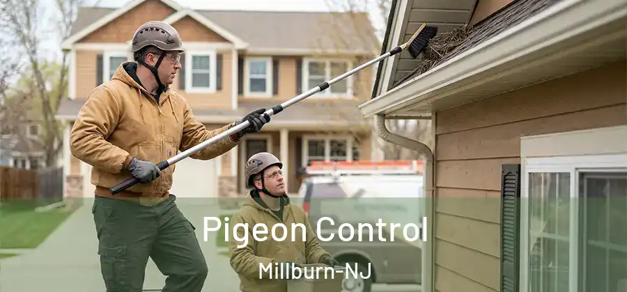  Pigeon Control Millburn-NJ