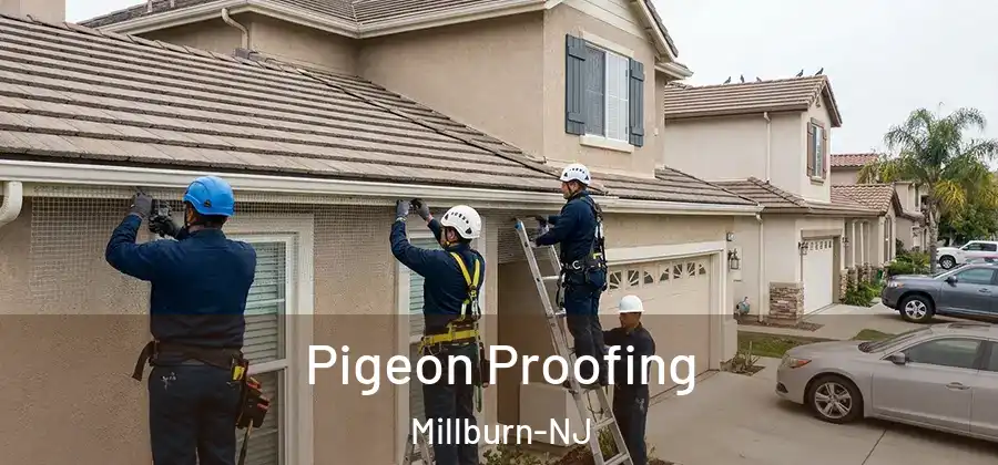 Pigeon Proofing Millburn-NJ