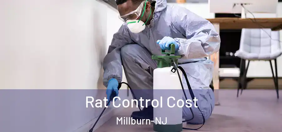  Rat Control Cost Millburn-NJ