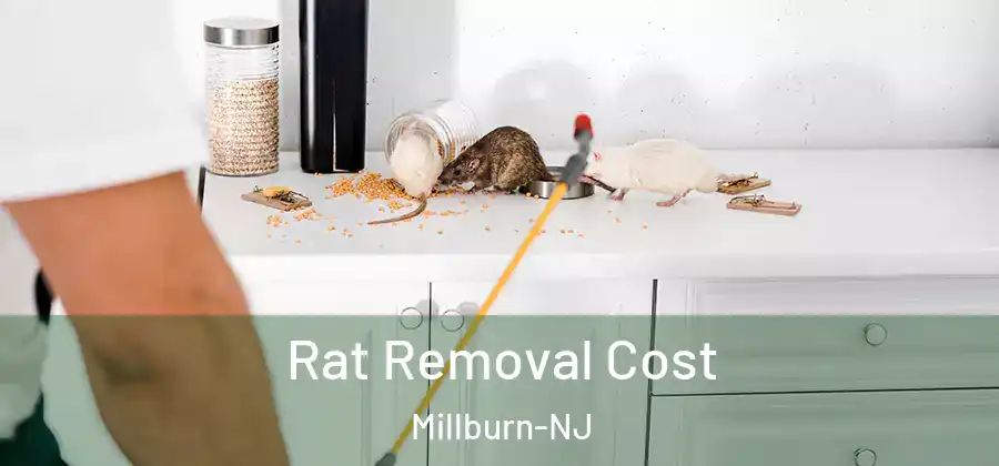 Rat Removal Cost Millburn-NJ