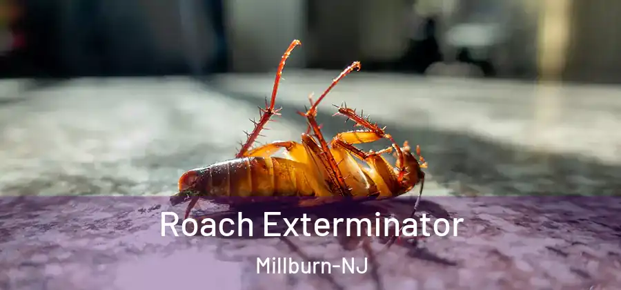 Roach Exterminator Millburn-NJ