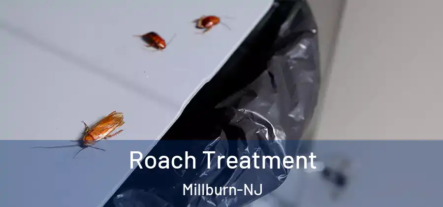  Roach Treatment Millburn-NJ