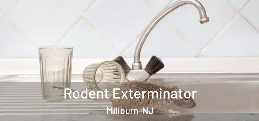 Rodent Exterminator Millburn-NJ