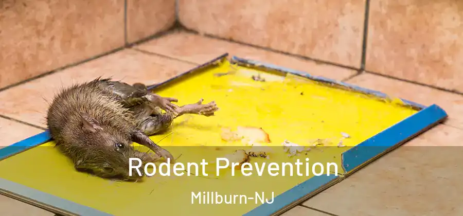  Rodent Prevention Millburn-NJ