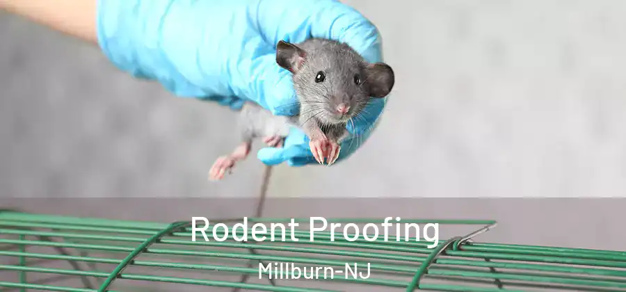 Rodent Proofing Millburn-NJ