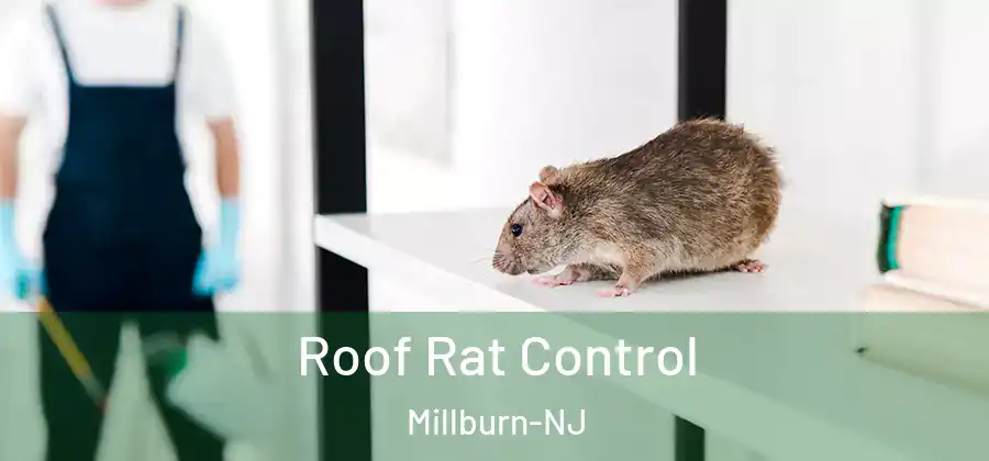 Roof Rat Control Millburn-NJ