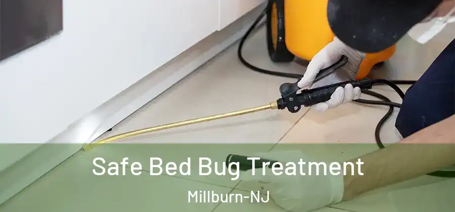 Safe Bed Bug Treatment Millburn-NJ