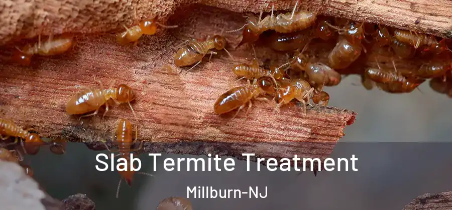  Slab Termite Treatment Millburn-NJ