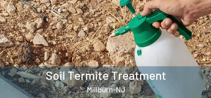  Soil Termite Treatment Millburn-NJ