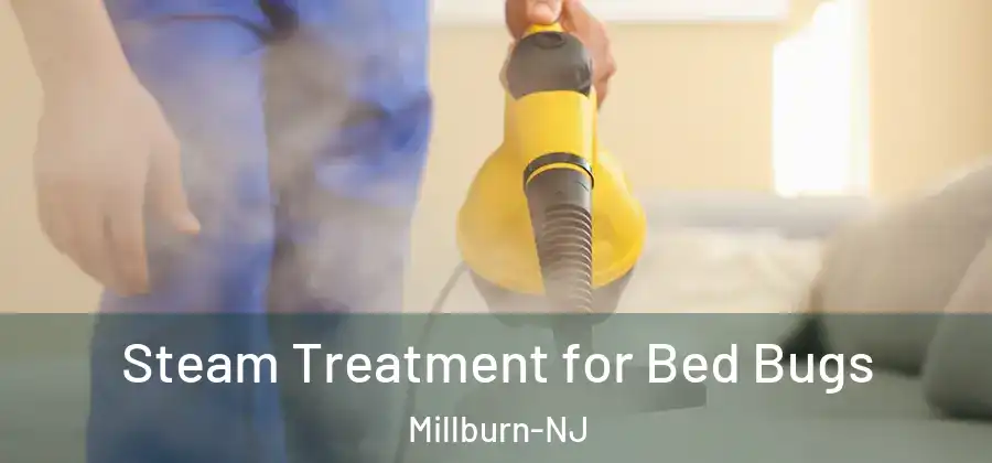Steam Treatment for Bed Bugs Millburn-NJ