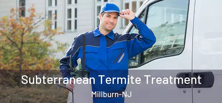 Subterranean Termite Treatment Millburn-NJ