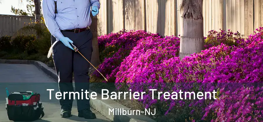 Termite Barrier Treatment Millburn-NJ