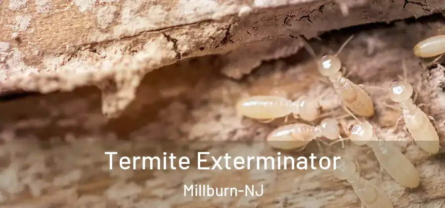 Termite Exterminator Millburn-NJ