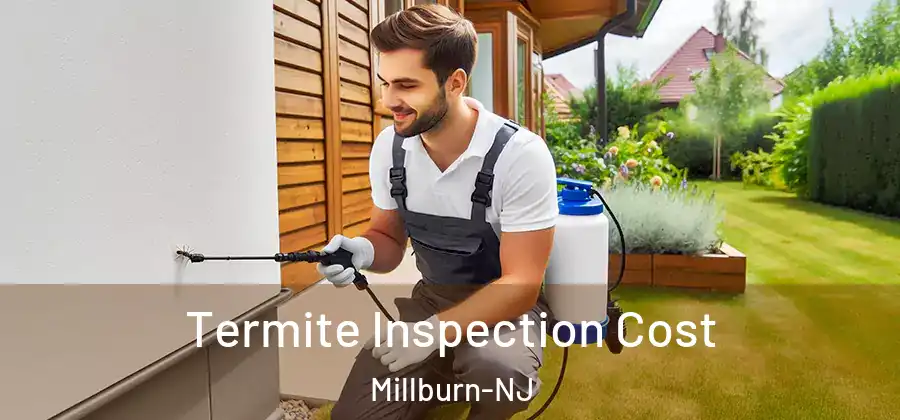 Termite Inspection Cost Millburn-NJ