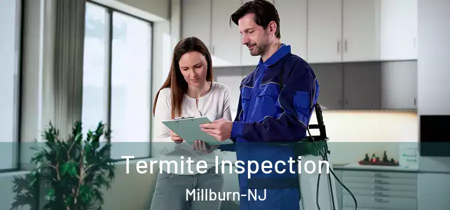  Termite Inspection Millburn-NJ