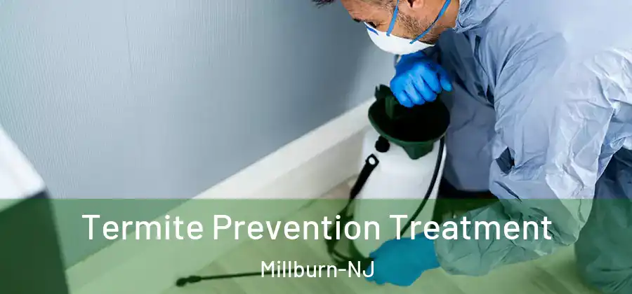 Termite Prevention Treatment Millburn-NJ