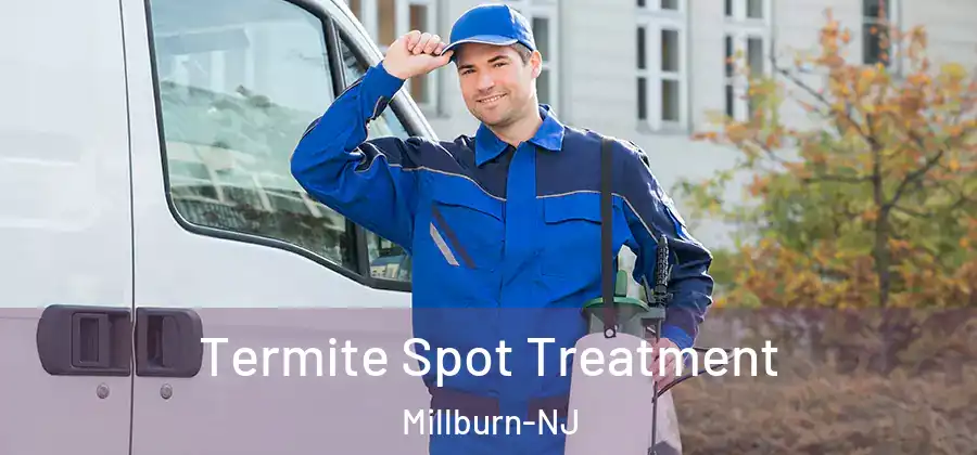 Termite Spot Treatment Millburn-NJ