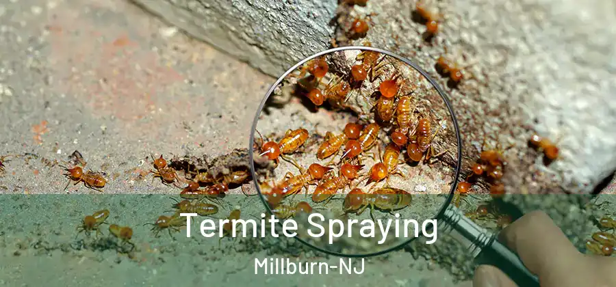  Termite Spraying Millburn-NJ
