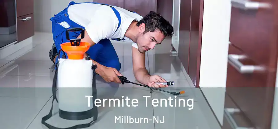 Termite Tenting Millburn-NJ