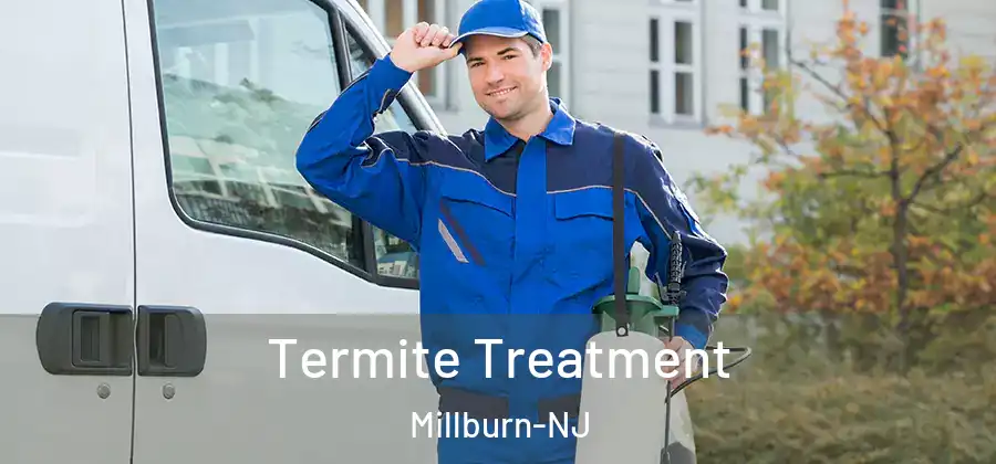 Termite Treatment Millburn-NJ