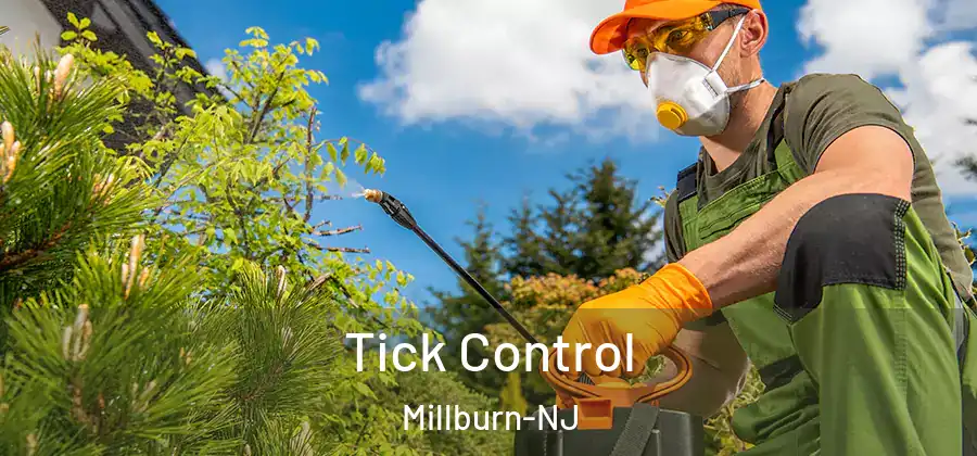  Tick Control Millburn-NJ