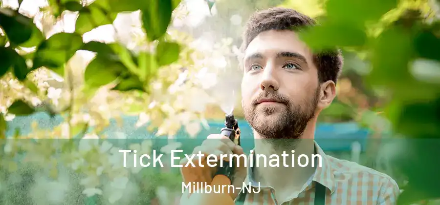 Tick Extermination Millburn-NJ