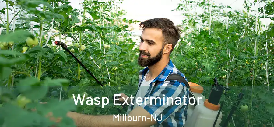 Wasp Exterminator Millburn-NJ