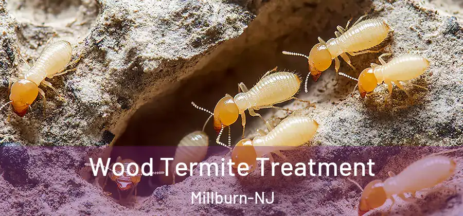 Wood Termite Treatment Millburn-NJ