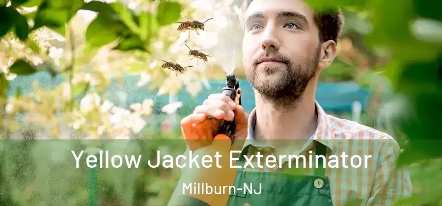 Yellow Jacket Exterminator Millburn-NJ